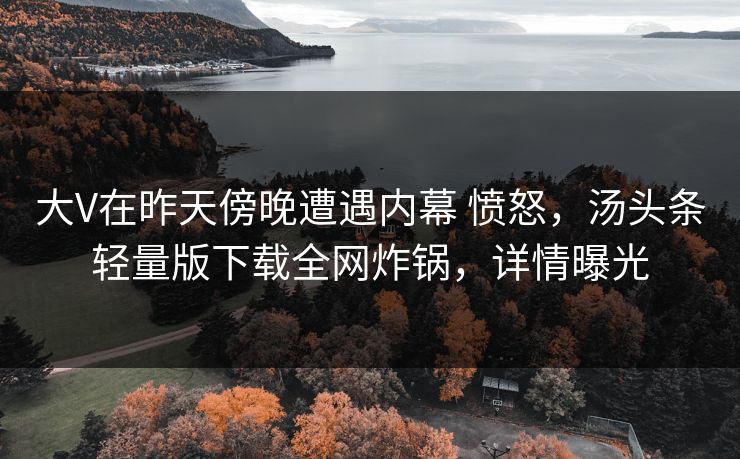 大V在昨天傍晚遭遇内幕 愤怒，汤头条轻量版下载全网炸锅，详情曝光